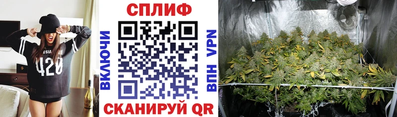 Где продают наркотики Светлоград ТГК Амфетамин Марихуана МЕГА зеркало A PVP COCAIN Мефедрон