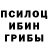 Псилоцибиновые грибы ЛСД Vladimir Beridze