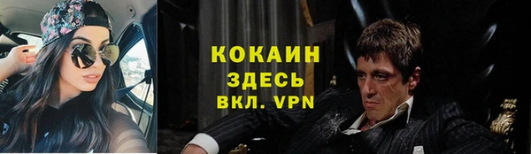 apvp Алексин