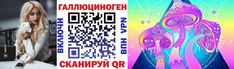 Псилоцибиновые грибы GOLDEN TEACHER  сайты даркнета состав  Светлоград  сколько стоит  блэк спрут ONION 
